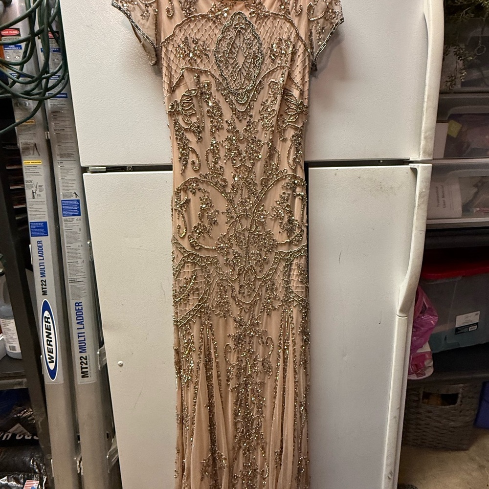 Pisarro Nights Beaded Maxi Dress in Blush and Gold